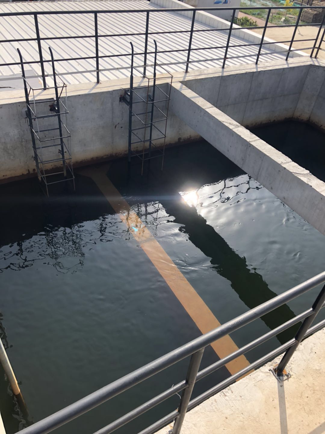 1667206057239872.jpg 3.jpg